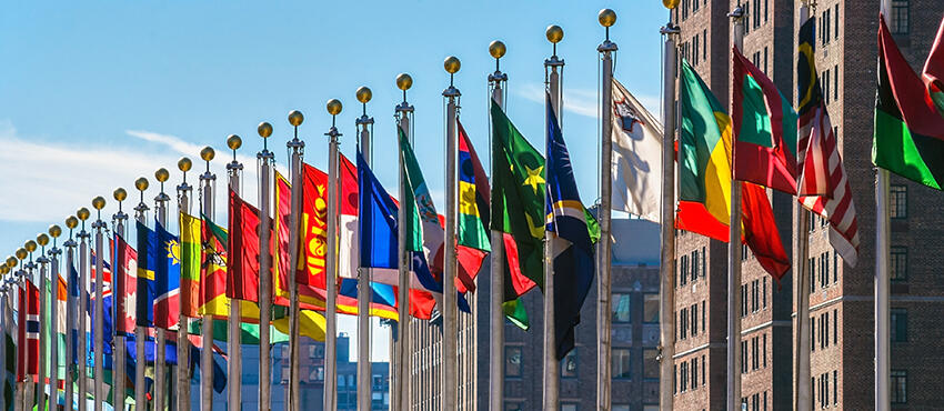 flags